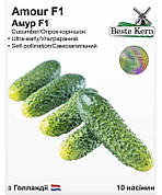 Насіння огірка Амур F1, Beste Kern, 10 шт