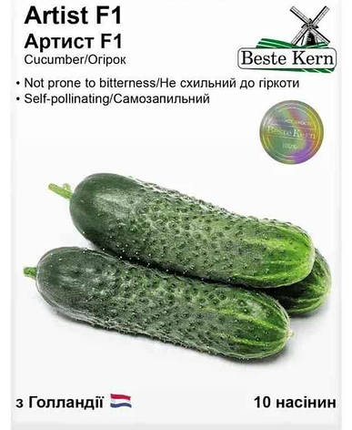 Насіння огірка Артист F1, Beste Kern, 10 шт, фото 1