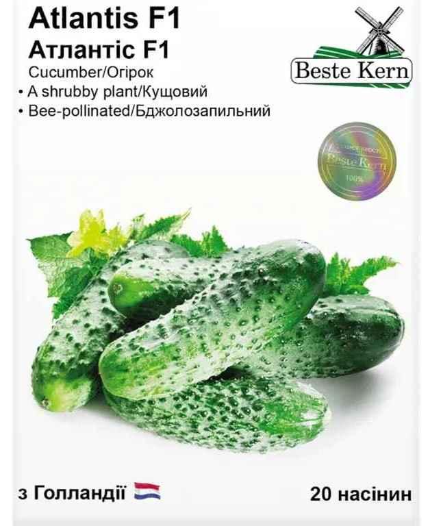 Насіння огірка Атлантіс F1, Beste Kern, 20 шт