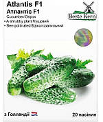 Насіння огірка Атлантіс F1, Beste Kern, 20 шт