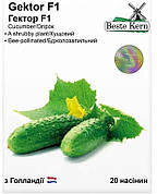 Насіння огірка Гектор F1, Beste Kern, 20 шт