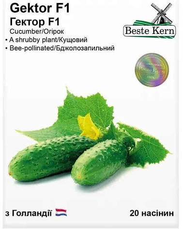 Насіння огірка Гектор F1, Beste Kern, 20 шт, фото 1