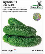 Насіння огірка Кібрія F1, Beste Kern, 10 шт