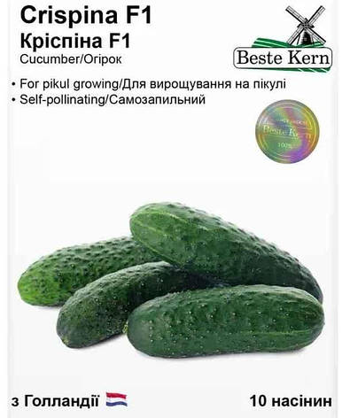 Насіння огірока Кріспіна F1, Beste Kern, 10 шт, фото 1
