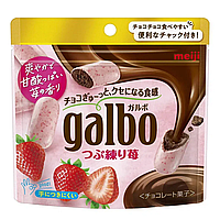 Meiji Galbo Strawberry Chocolate Cookie 69g