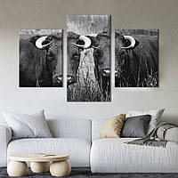 Модульная картина на холсте KIL Art триптих Коровы с острыми рогами 141x90 см (210-32)