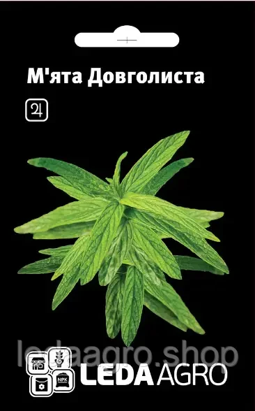 М'ята Довголиста 0,05 г , Леда Агро