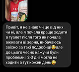 Пророщені зерна 3 пачки. Комплекс вітамінів, мінералів, амінокислот на 3 місяці, фото 9