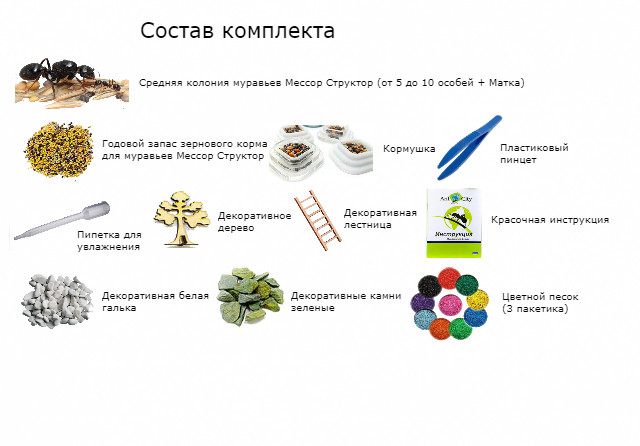 Муравьиная Ферма Стандарт Сахара комплект для новичка Mine Желтый (hub_uw1irs) - фото 2 - id-p2039682757