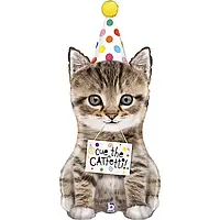 Фольгированные шары 41" кот с надписью cue the cat fetti