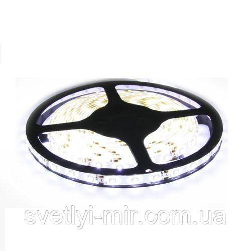 Світлодіодна LED стрічка SMD 3528-60 W біла герметична IP65, фото 1