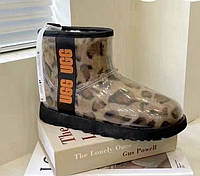 Угги женские Ugg Classic Mini Clear Leo леопардовые лаковые теплые короткие стильные премиум