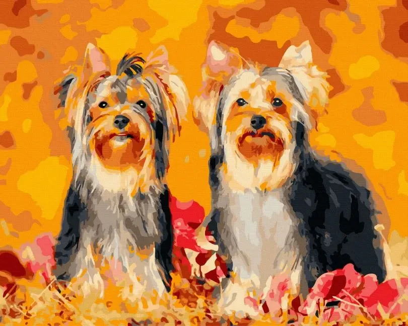 Собаки картини за номерами 40х50 Картини по цифрах на полотні Два йорки Картини за номерами Rainbow Art GX45098