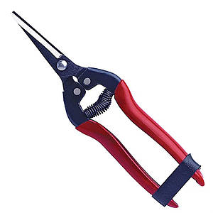 Секатор-ножиці Falket / Фалкет 1850/A, INOX для збору плодів і дрібної обрізки (Італія)