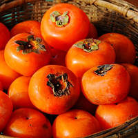 Хурма Сладость (щеплена, рання)