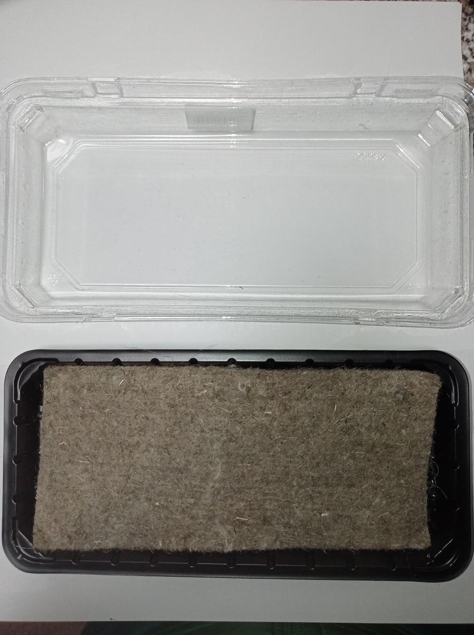 Парник міні 260*125 мм з килимком для вирощування мікрозелені (замовлення від 5 шт)