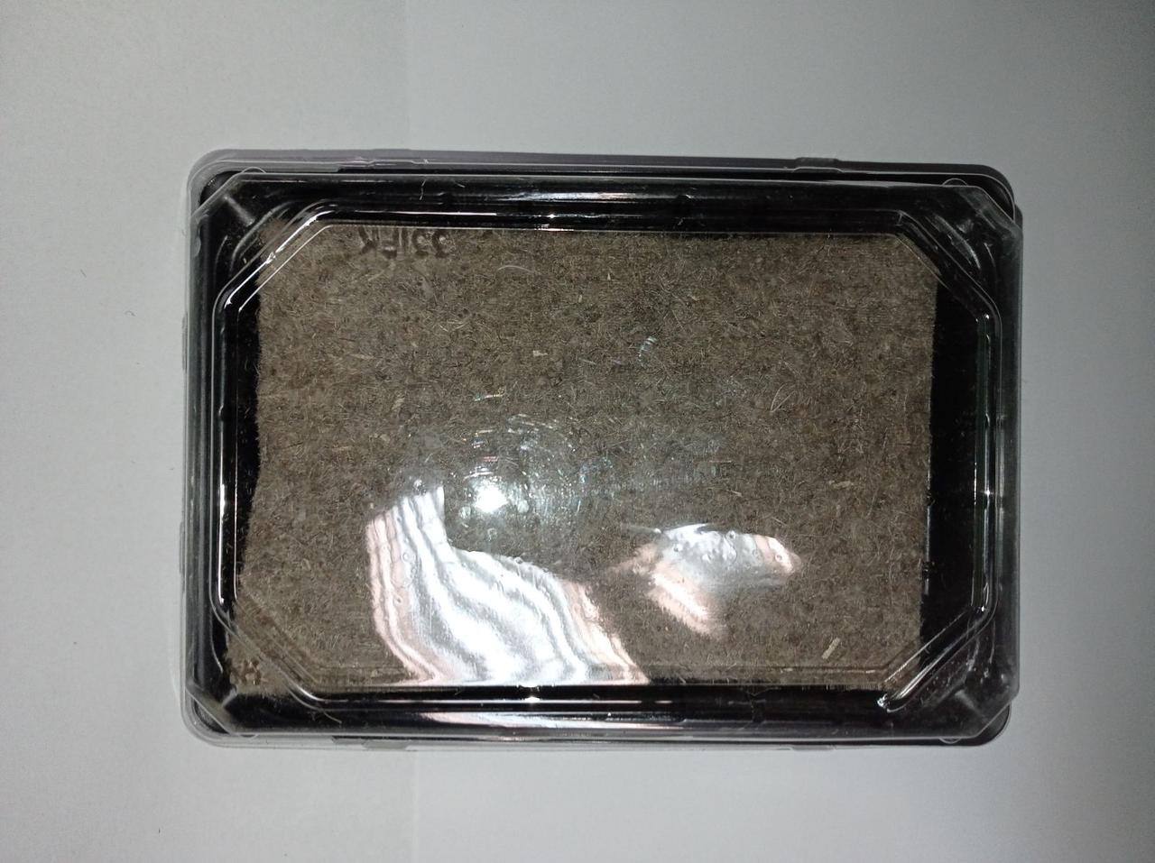 Парник міні 185*130 мм з килимком для вирощування мікрозелені (замовлення від 5 шт)