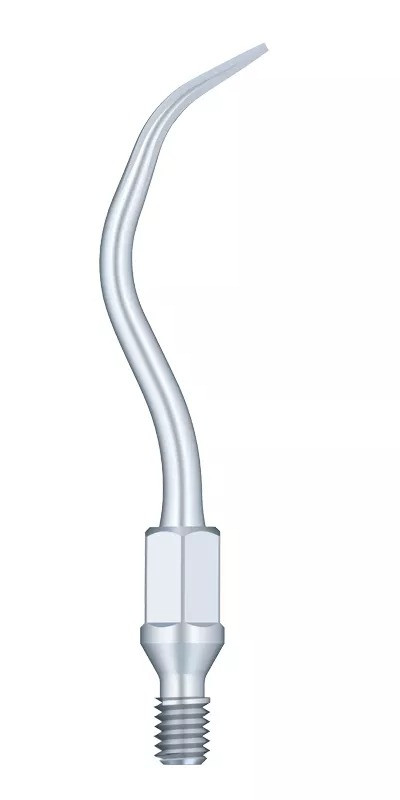 Насадка для скалера GK1 Woodpecker WDP001070