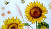 Вінілові наклейки на стіну Польові квіти соняшники (лист 60 х 90см)  Б139, фото 8