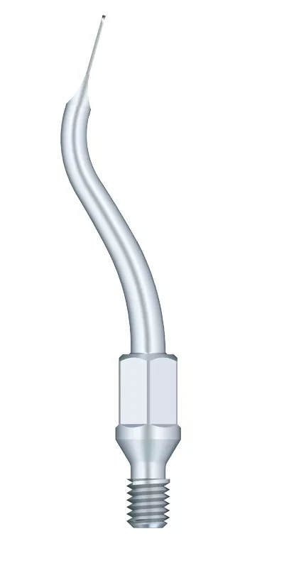 Насадка для скалера GK11 Woodpecker WDP002150