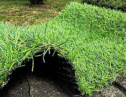 Штучна трава Citygreen Landgrass 20 - ширина 1 і 2 і 3 і 4 метри