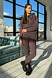 Теплый спортивный костюм качественная тринитка на флисе 44-56 размеры разные цвета сливовый, фото 2