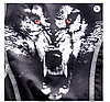 Компресійний одяг wolf/комплект для єдиноборств ММА/Комплект для тренувань 3в1/одяг для боротьби, фото 4