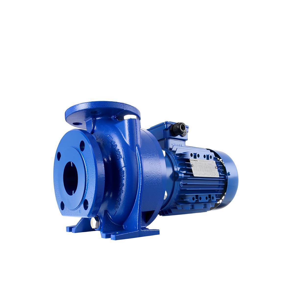 Насос Lowara NSCE 50-160/55/P25 VCS4 3х400 В