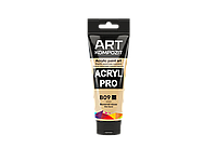 Фарба художня Acryl PRO ART Kompozit 0,075 л ТУБА (Колір: B09 вологий пісок)