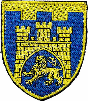 Шеврон 125 окрема бригада ТрО (Львівська область) кольоровий