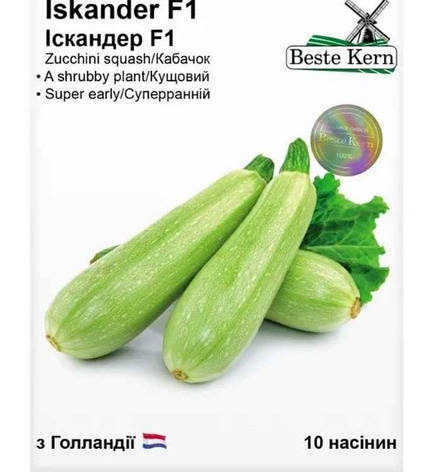 Насіння кабачка Іскандер F1, Beste Kern, 10 шт, фото 1