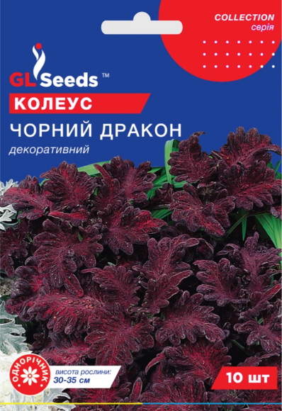 Колеус Чорний дракон 10 шт