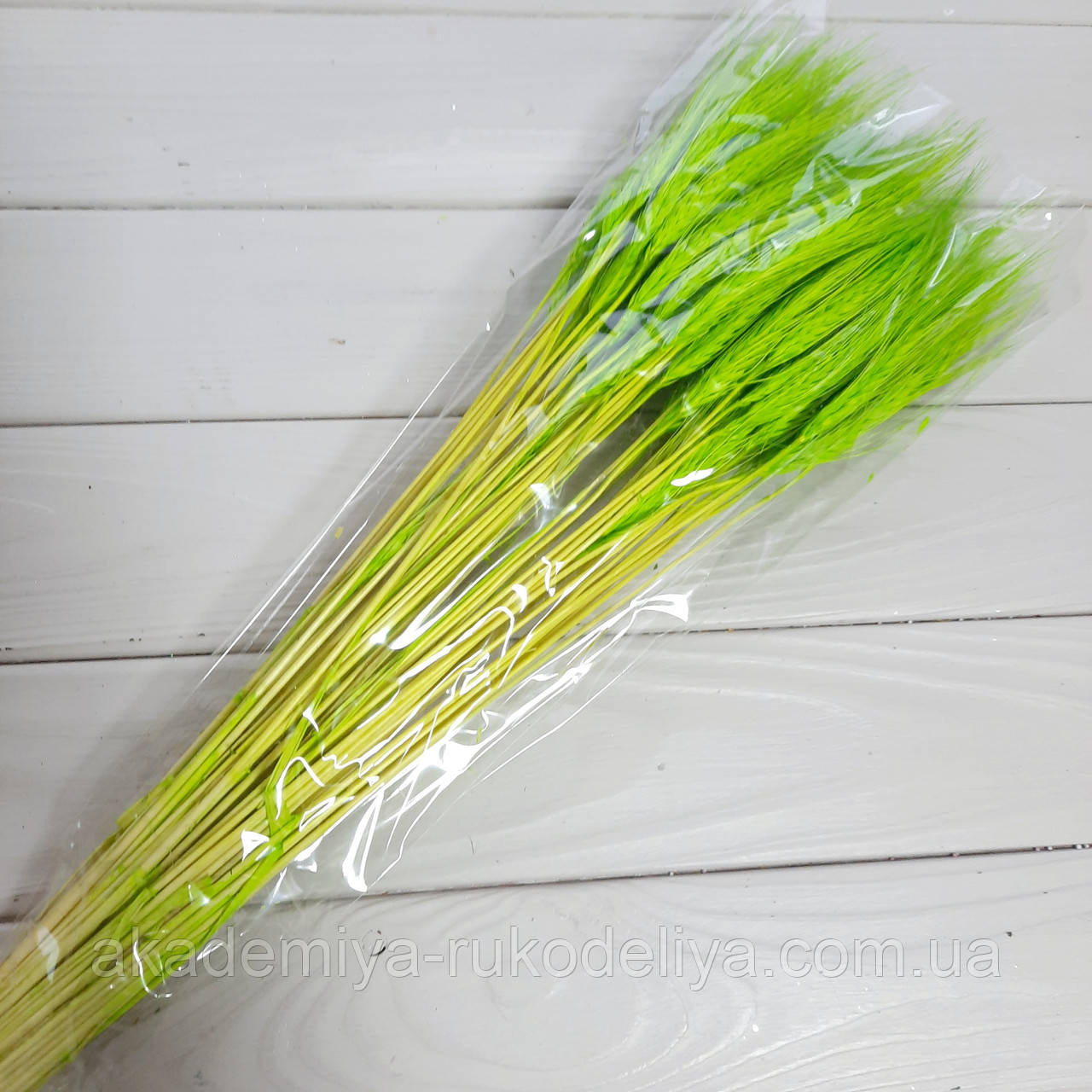 Колоски пшениці натуральні сухоцвіт — зелений., фото 1