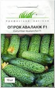 Огірок Аваланж F1 партенокарпічний, 10 шт