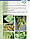 Сульфат калію Солюпотас (SoluPotasse) 25 кг, мінеральне добриво, мікроелементи, Tessenderlo Group (Тессендерло Групп), Бельгія, фото 5