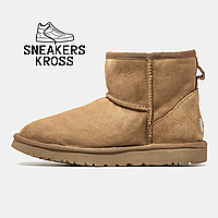 Женские зимние угги мини кориченевые замша, UGG Classic Mini Chestnut