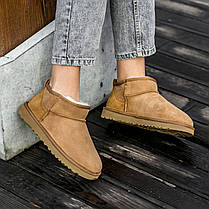Зимові Жіночі Черевики UGG Classic Ultra Mini Chestnut Brown / УГГ Класик Ультра Міні Чеснат Коричневі, фото 3
