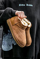 Зимові Жіночі Черевики UGG Classic Ultra Mini Chestnut Brown / УГГ Класик Ультра Міні Чеснат Коричневі, фото 4