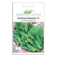 Огірок Атлантіс F1 бджолозапильний, 15 шт