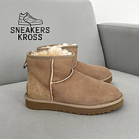 Женские зимние угги мини кориченевые замша, UGG Classic Mini Brown