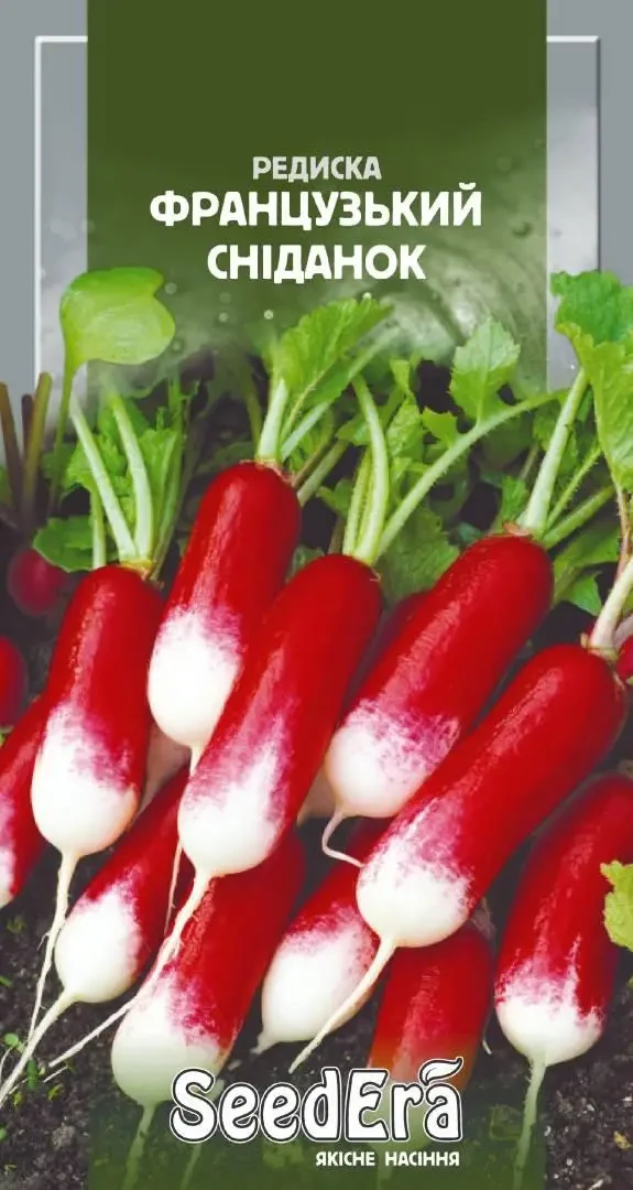 Насіння Редиска Французький сніданок, 2 г — ранньостиглий, SeedEra
