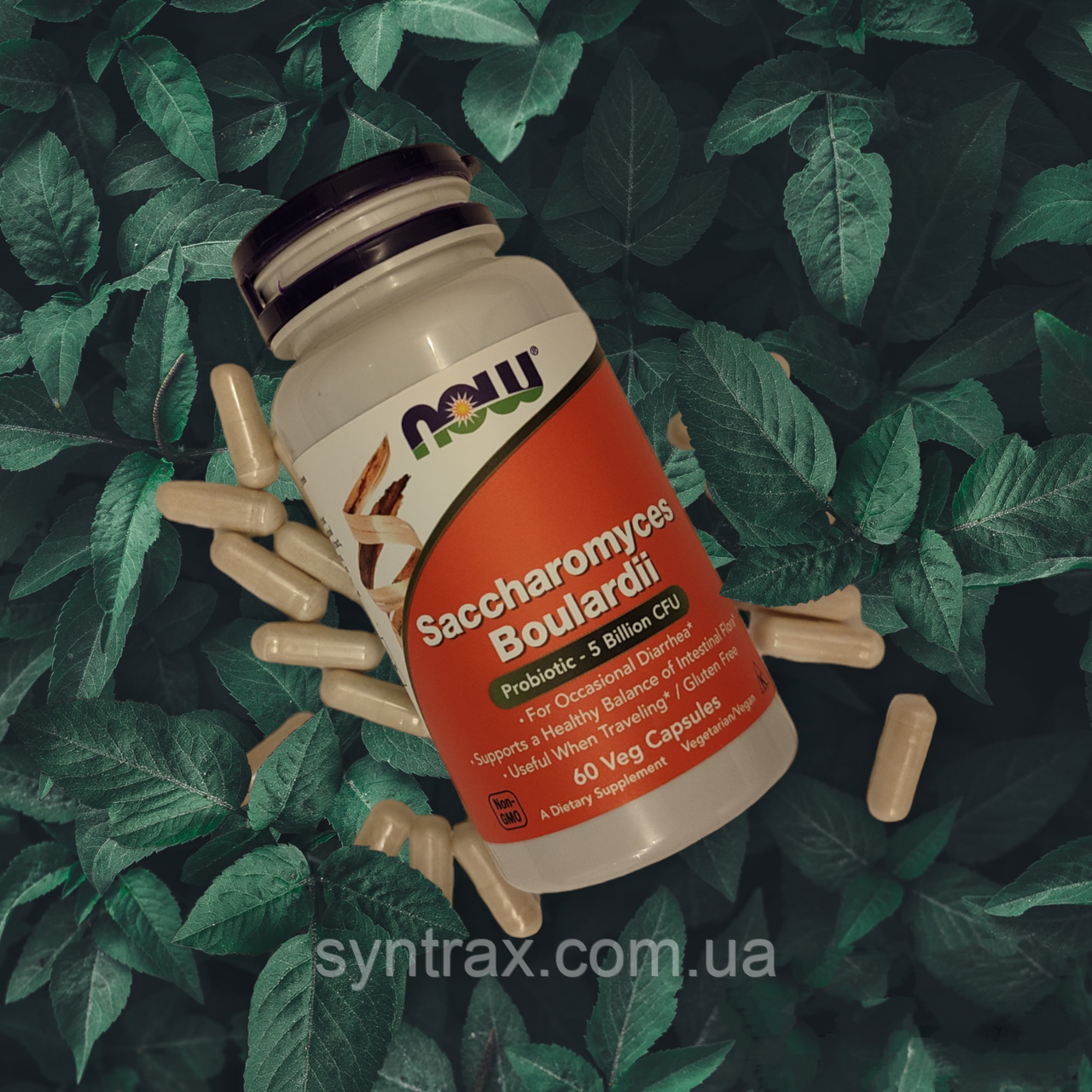 Now Saccharomyces Boulardii 60 veg caps , сахароміцети буларді