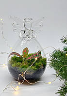 Флорариум закрытого типа Ангел Тропический флорариум в бутылке Флорариум в форме ангела Живые цветы