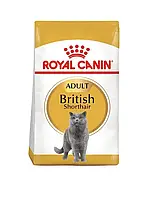 Сухий корм для дорослих котів породи британська короткошерста Royal Canin British Shorthair Adult 4 кг