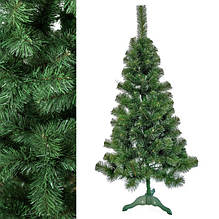 Ялинки з плівки звичайні