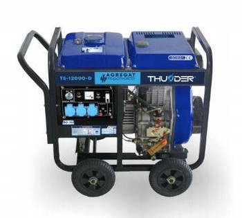 Дизельний генератор THUNDER TS-12000-D MK official