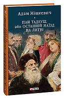 Книга Пан Тадеуш, або Останній наїзд на Литві | Зарубежная поэзия Литература XIX века