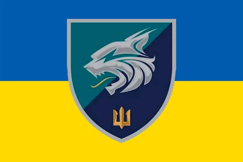 Прапор 137 ОБМП ЗСУ (лого 2) синьо-жовтий