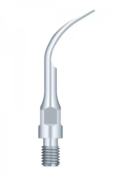 Насадка для скалера GS2 Woodpecker WDP001110