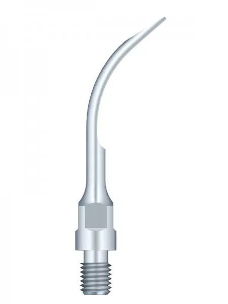 Насадка для скалера GS6 Woodpecker WDP001150
